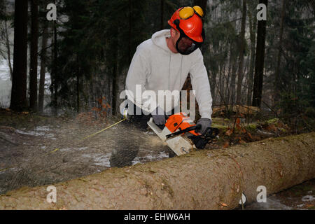 Wald-Arbeiter Baum Fällen Stockfoto