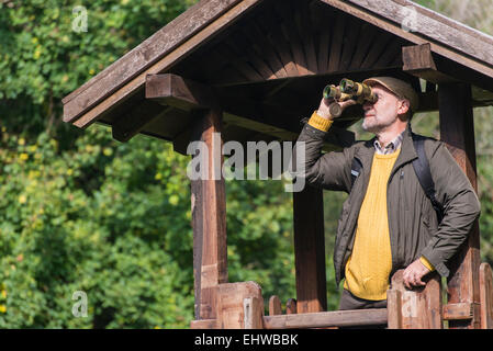 Senior woman suchen Trog Fernglas im Wald Stockfoto