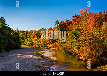 Herbstfarbe entlang der Swift River in Conway, New Hampshire. Stockfoto