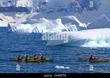 Kajaks im Meer um Eisberge vor Cuverville Island, Antarktis Stockfoto