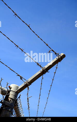 Detail einer Hochsicherheits-Stacheldraht-Zaun mit Textfreiraum Stockfoto