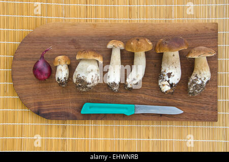Pilze Cep Steinpilzen und Messer am Küchentisch Stockfoto