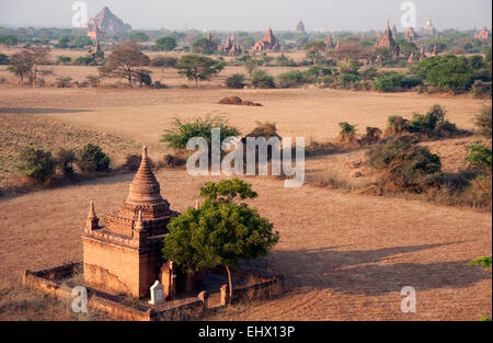 Die verlängerte Morgensonne wirft lange Schatten von den vielen Tempeln auf den staubigen Ebenen von Bagan Myanmar Burma Stockfoto