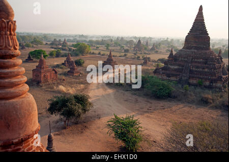 Die nebligen Sonnenaufgang Sonne durchbricht unter dem Tempel von Bagan Myanmar Burma Stockfoto