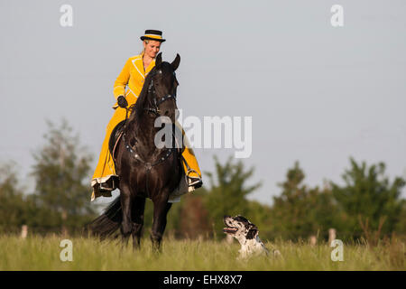 Friesisch-Reiter tragen barocken Reitkleid schwarze Friesen von Dogge Wiese Deutschland begleitet Stockfoto