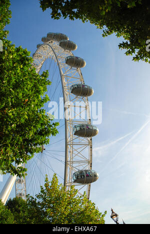 Das London Eye, wie durch Bäume vom Südufer gesehen Stockfoto