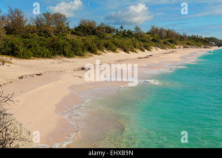 Blick auf Warwick Long Bay Beach in Warwick Parish, Bermuda Stockfoto