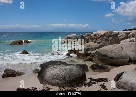 Felsen am Strand, Boulders Beach, Kapstadt, Westkap, Südafrika Stockfoto