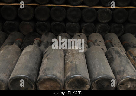 Dies ist eine Weinlagerung. Alte Weinflaschen mit Staub bedeckt werden in Reihen gesetzt. Stockfoto