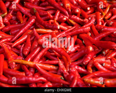 Rote Chilischoten Stockfoto