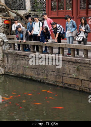 Chinesische Jugendliche betrachten Fische an der Yuyuan-Garten in Shanghai, China Stockfoto