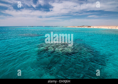 Touristen-Schnorcheln rund um die Korallenriffe im Roten Meer, nur vor der Küste von Hurghada in Ägypten Stockfoto