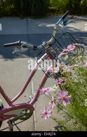 Rosa Fahrrad mit Blumen. Stockfoto