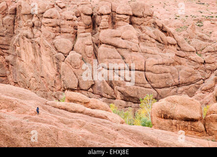 Felsen entlang der Route des Kasbahs, Provinz Ouarzazate, Marokko Stockfoto