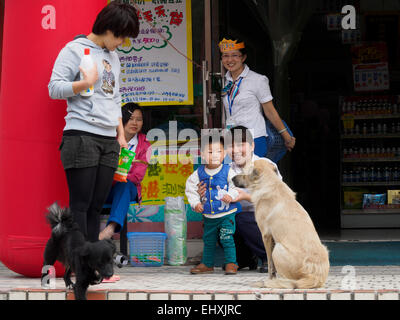 Asiaten, die Interaktion mit streunenden Hunden Stockfoto