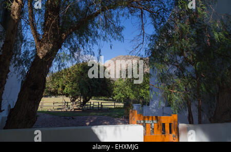 Blick auf die Berge rund um Montague, Südafrika von einem ruhigen Garten. Stockfoto