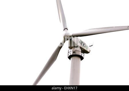 WindNI Windturbine Stockfoto
