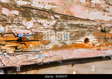 Farbe abplatzt morsche Bretter Stockfoto