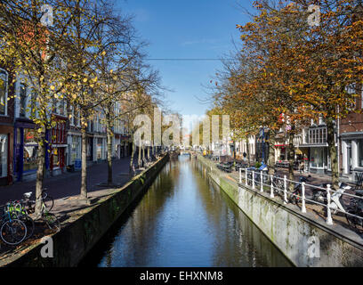 Einer von Bäumen gesäumten Kanal in die ziemlich niederländischen Stadt Delft in den Niederlanden. Stockfoto