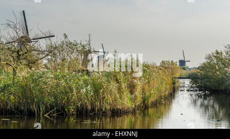 Windmühlen in Kinderdijk in den Niederlanden die stammen aus dem 18. Jahrhundert und wurden verwendet, um Wasser aus dem Land abfließen. Stockfoto