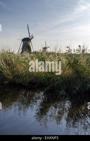 Windmühlen in Kinderdijk in den Niederlanden die stammen aus dem 18. Jahrhundert und wurden verwendet, um Wasser aus dem Land abfließen. Stockfoto