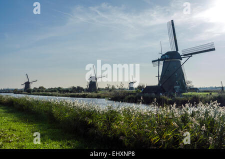 Windmühlen in Kinderdijk in den Niederlanden die stammen aus dem 18. Jahrhundert und wurden verwendet, um Wasser aus dem Land abfließen. Stockfoto