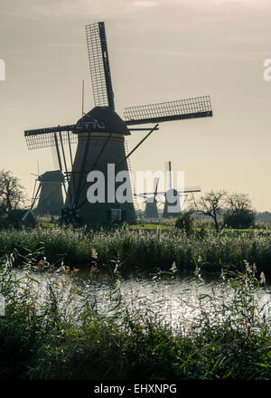 Windmühlen in Kinderdijk in den Niederlanden die stammen aus dem 18. Jahrhundert und wurden verwendet, um Wasser aus dem Land abfließen. Stockfoto