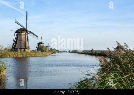 Windmühlen in Kinderdijk in den Niederlanden die stammen aus dem 18. Jahrhundert und wurden verwendet, um Wasser aus dem Land abfließen. Stockfoto