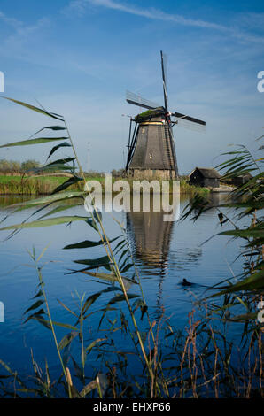 Windmühle in Kinderdijk in den Niederlanden gesehen zwischen dem Schilf und Gräser Stockfoto