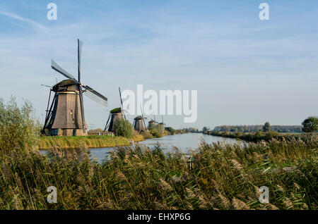 Windmühlen in Kinderdijk in den Niederlanden die stammen aus dem 18. Jahrhundert und wurden verwendet, um Wasser aus dem Land abfließen. Stockfoto