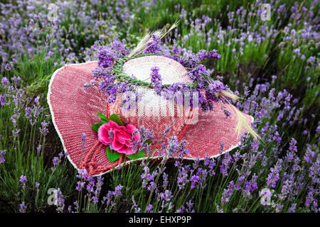 Ein Hut verziert mit Lavendelblüten Stockfoto