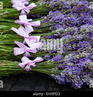 Ländliche Ernte der Lavendelblüten Stockfoto