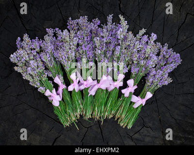 Ländliche Ernte der Lavendelblüten Stockfoto