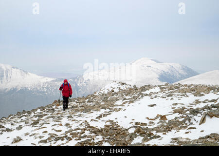 Einsame männliche Wanderer in Red Jacket Wandern im Schnee auf felsigen Y Garn Berg in Snowdonia National Park (Eryri) North Wales UK Großbritannien Stockfoto