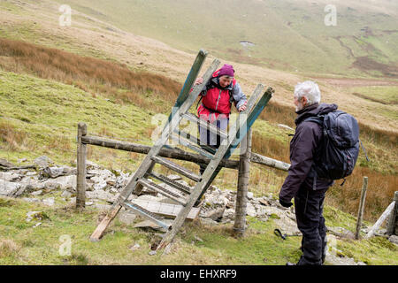 Rambler klettern über einen wackelig blauen Leiter Stil an Foel Goch Berghang in Snowdonia-Nationalpark, North Wales, UK, Großbritannien Stockfoto