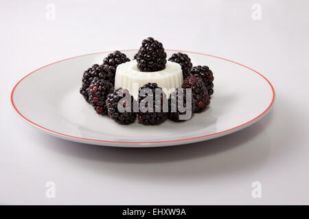 Quark mit frischen Brombeeren. Isoliert auf weißem Hintergrund Stockfoto