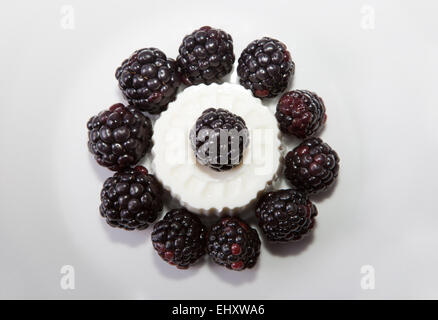 Quark mit frischen Brombeeren. Isoliert auf weißem Hintergrund Stockfoto