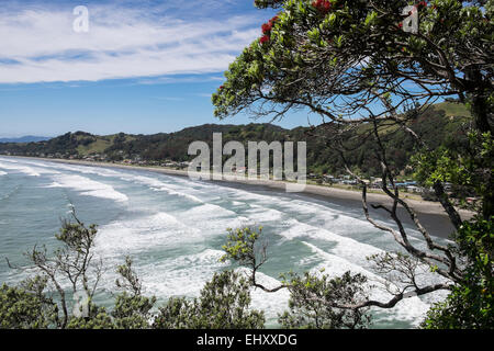 Mit Blick auf den Strand und die Küste in Whakatane in Neuseeland. Stockfoto