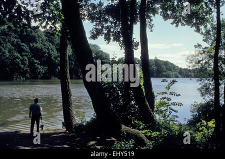 Blake Mere, Ellesmere, Shropshire Stockfoto