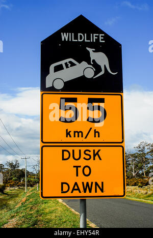 Tierwelt Warnzeichen Straße neben Autobahn in Australien. Treiber werden dringend gebeten, vorsichtig zu sein, da Kängurus grosse Schäden verursachen. Stockfoto