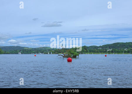 Roten Bojen am Lake Windermere, Cumbria, im Lake District, England, Großbritannien, Vereinigtes Königreich. Stockfoto