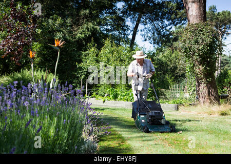 Ältere Mann mäht Garten Rasen, Bournemouth, Grafschaft Dorset, UK, Europa Stockfoto