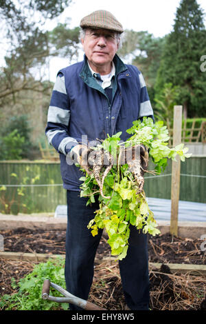 Ältere Mann mit Wurzelgemüse in Händen, Bournemouth, Grafschaft Dorset, UK, Europa Stockfoto