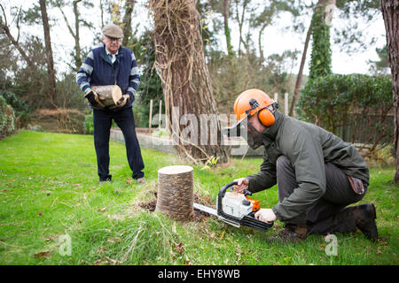 Ein Baum, Bournemouth, Grafschaft Dorset, UK, Europa Stockfoto