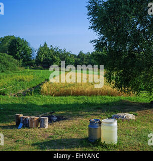 Landschaft im ländlichen Raum. Kleines Feld im Garten. Stockfoto