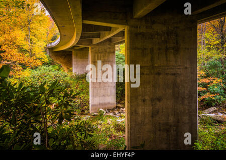 Herbstfarbe und Brücke über Boone Gabel auf der Blue Ridge Parkway, North Carolina. Stockfoto