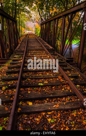 Herbstlaub auf einer Eisenbahnbrücke in York County, Pennsylvania. Stockfoto