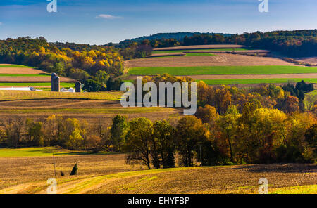 Herbst auf sanften Hügeln im ländlichen York County, Pennsylvania. Stockfoto