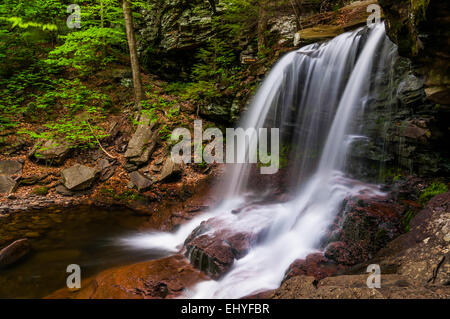 B. Reynolds fällt Ricketts Glen State Park, Pennsylvania. Stockfoto