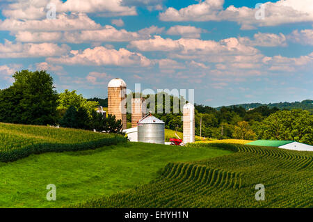 Maisfelder und Silos auf dem Bauernhof im südlichen York County, Pennsylvania. Stockfoto